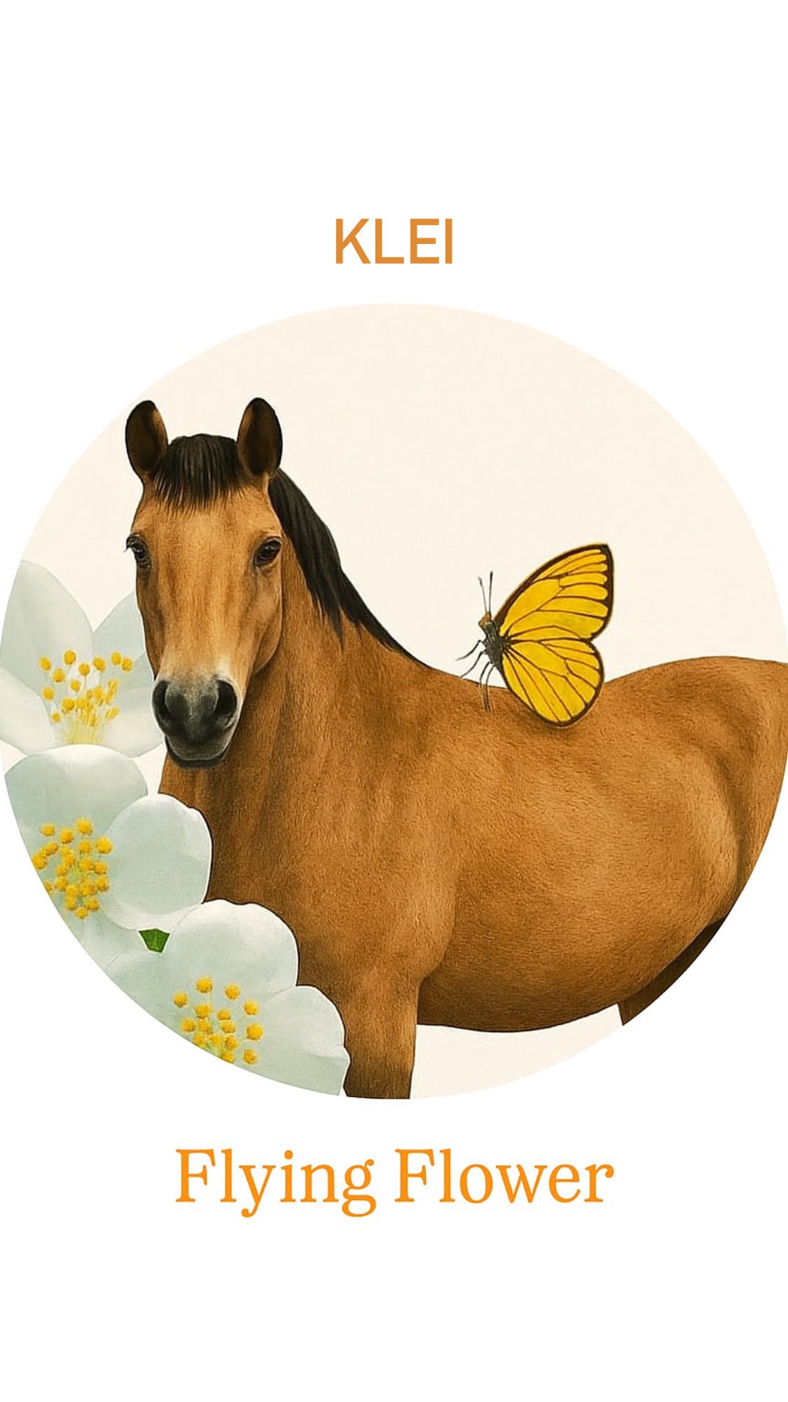 🐾 Klei – natuurlijke hoefpasta voor hoefproblemen