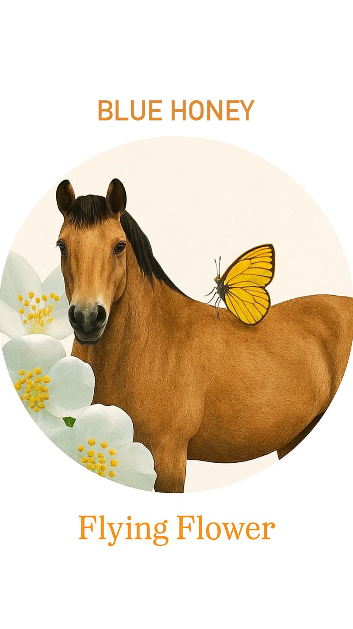 🍯 Blue Honey – natuurlijke lotion voor hoefproblemen & wonden