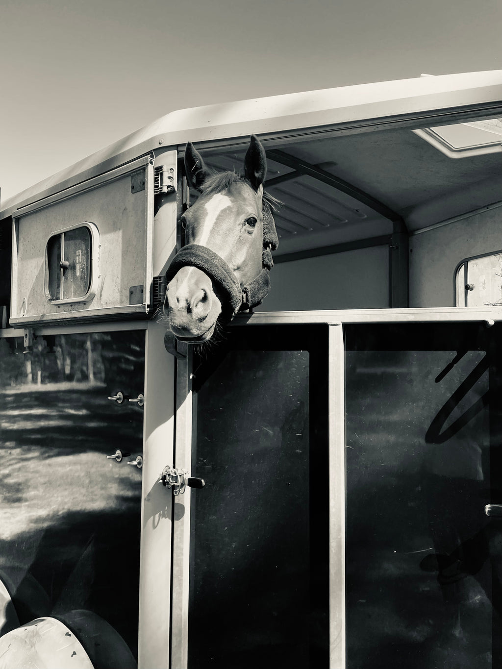 Huur trailer - TRANSPORT