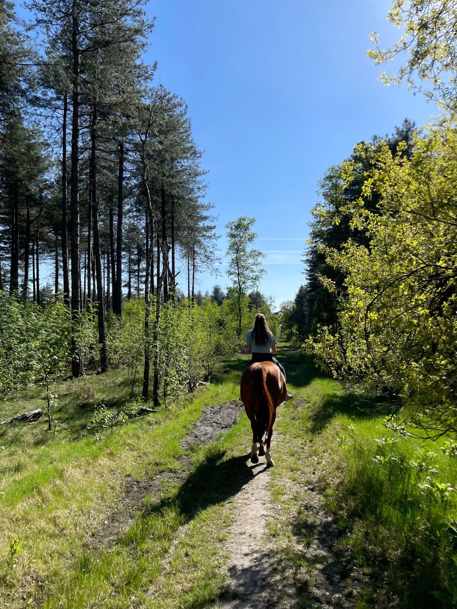 Trailrides ☀️